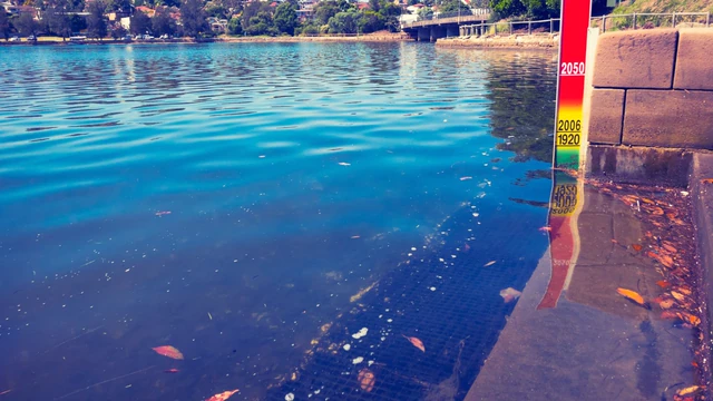 Sea Level Explained: What Does It Mean?