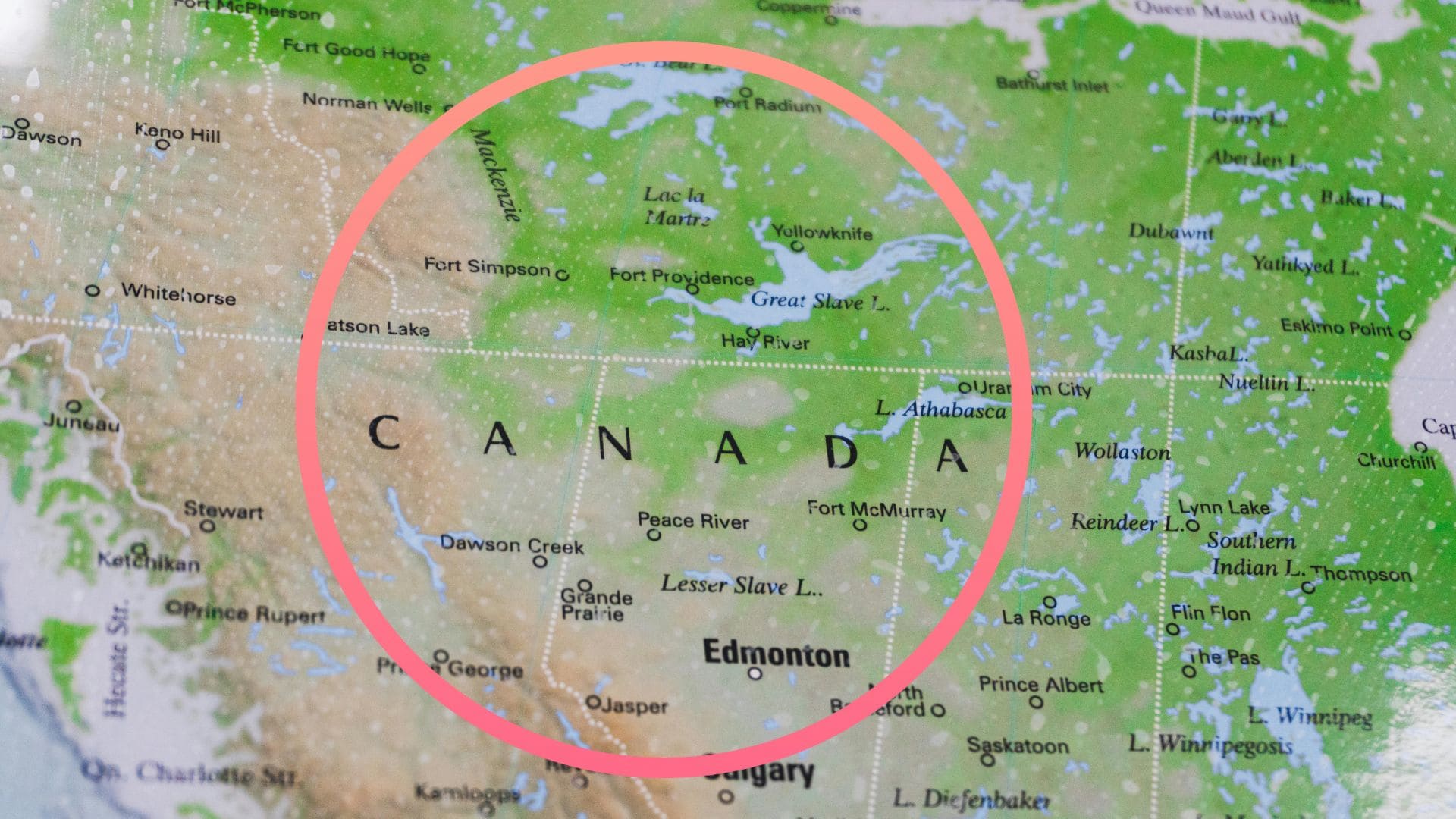 What Is a Radius Map and Why It’s Useful?